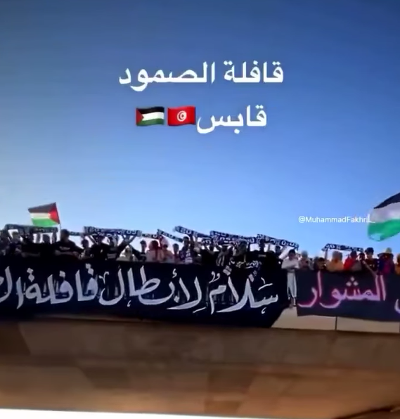 Konvoi Soumoud: Ribuan Aktivitas Melintas Darat untuk Menerobos Blokade Gaza