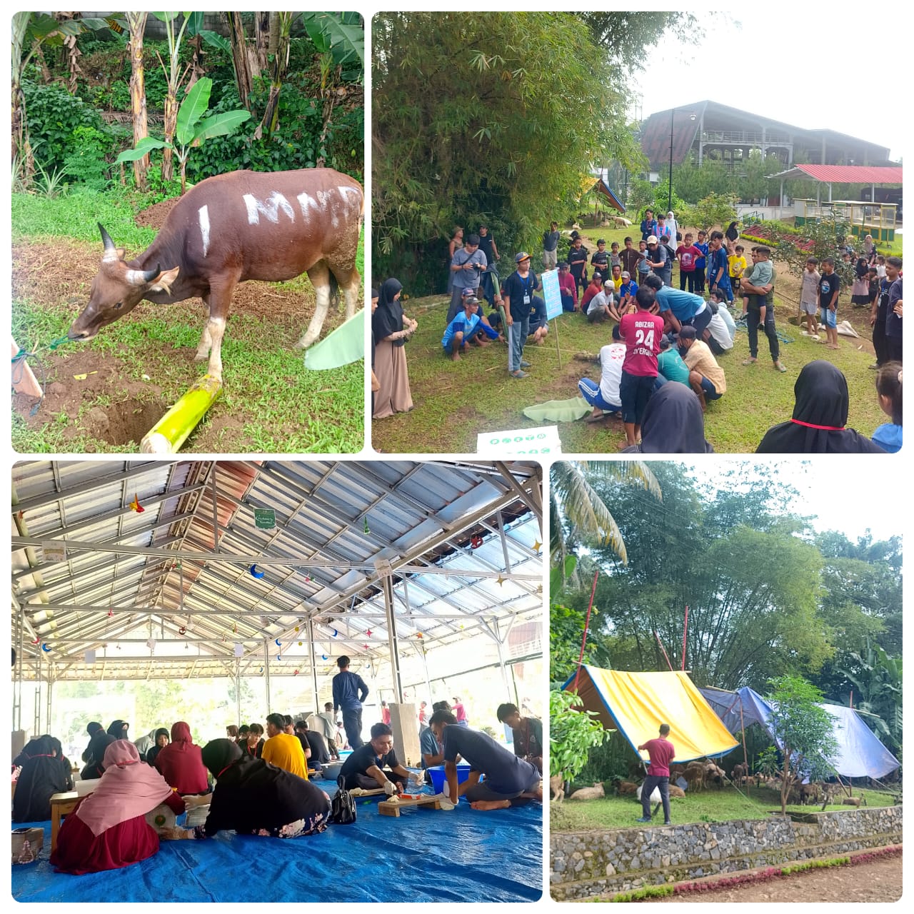 Qurban Bahagia: Setetes Darah Sejuta D’oa