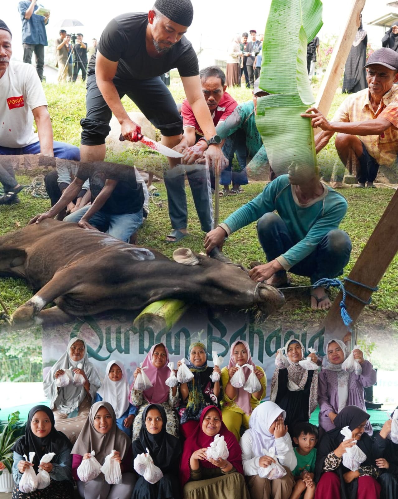 Pemotongan Hewan Qurban di Masjid Muslim Billionaire dan Pendistribusiannya