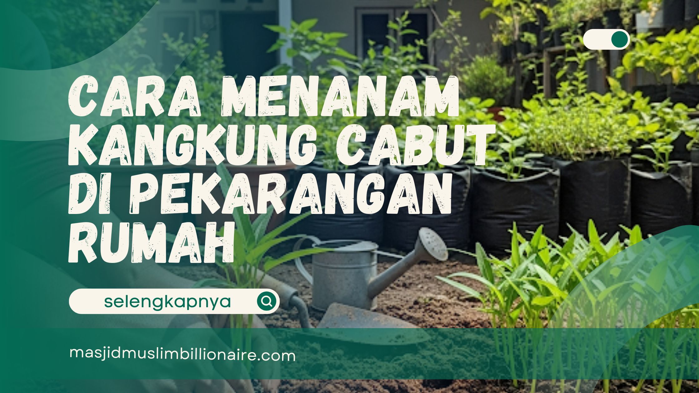 🟩 WAJIB BACA!! Cara Menanam Kangkung Cabut di Pekarangan Rumah (Mudah & Cepat Panen) – Tips Jitu MB Farm