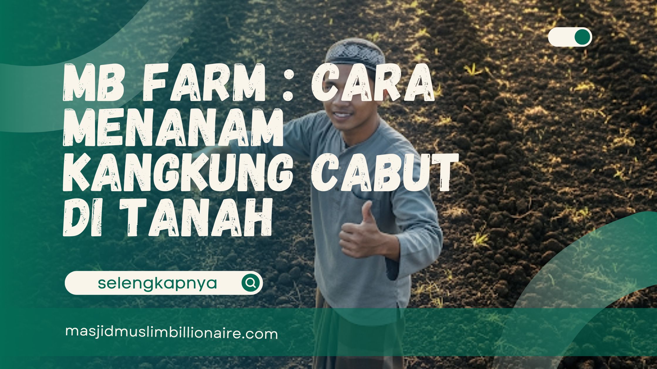 cara menanam kangkung cabut di tanah
