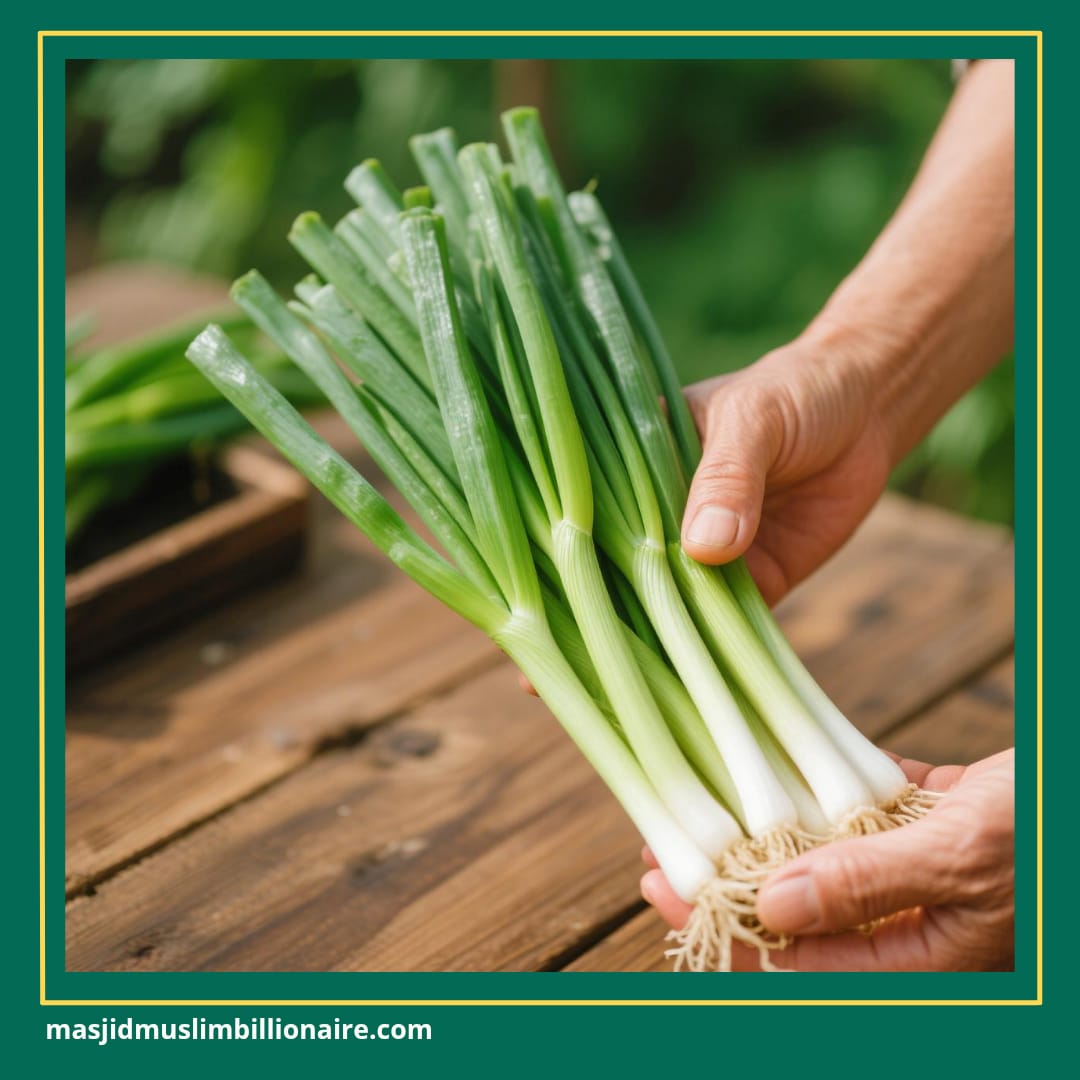 cara menanam daun bawang dari batang dengan air 