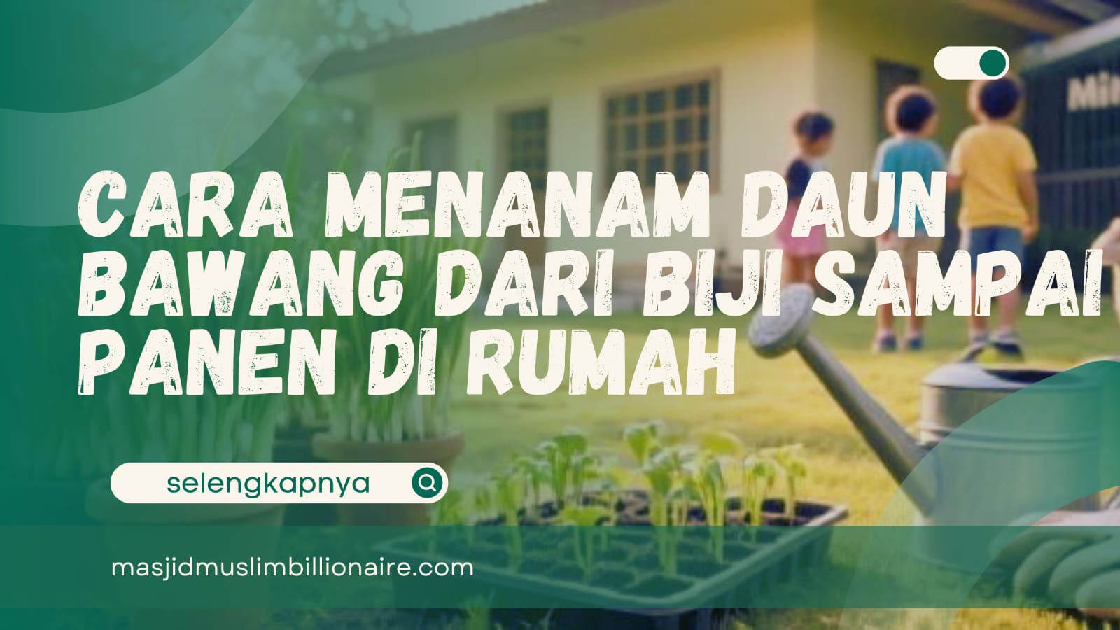 Cara Menanam Daun Bawang dari Biji sampai Panen di Rumah