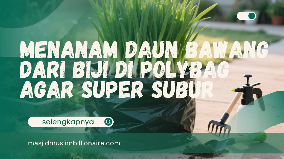 Rahasia Petani! Cara Menanam Daun Bawang dari Biji di Polybag