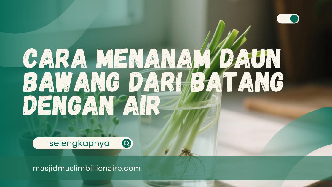 Wow! Begini Cara Menanam Daun Bawang dari Batang dengan Air