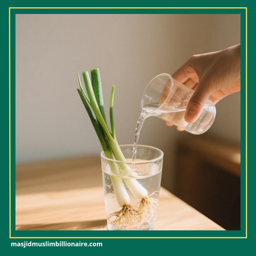 cara menanam daun bawang dari batang dengan air 