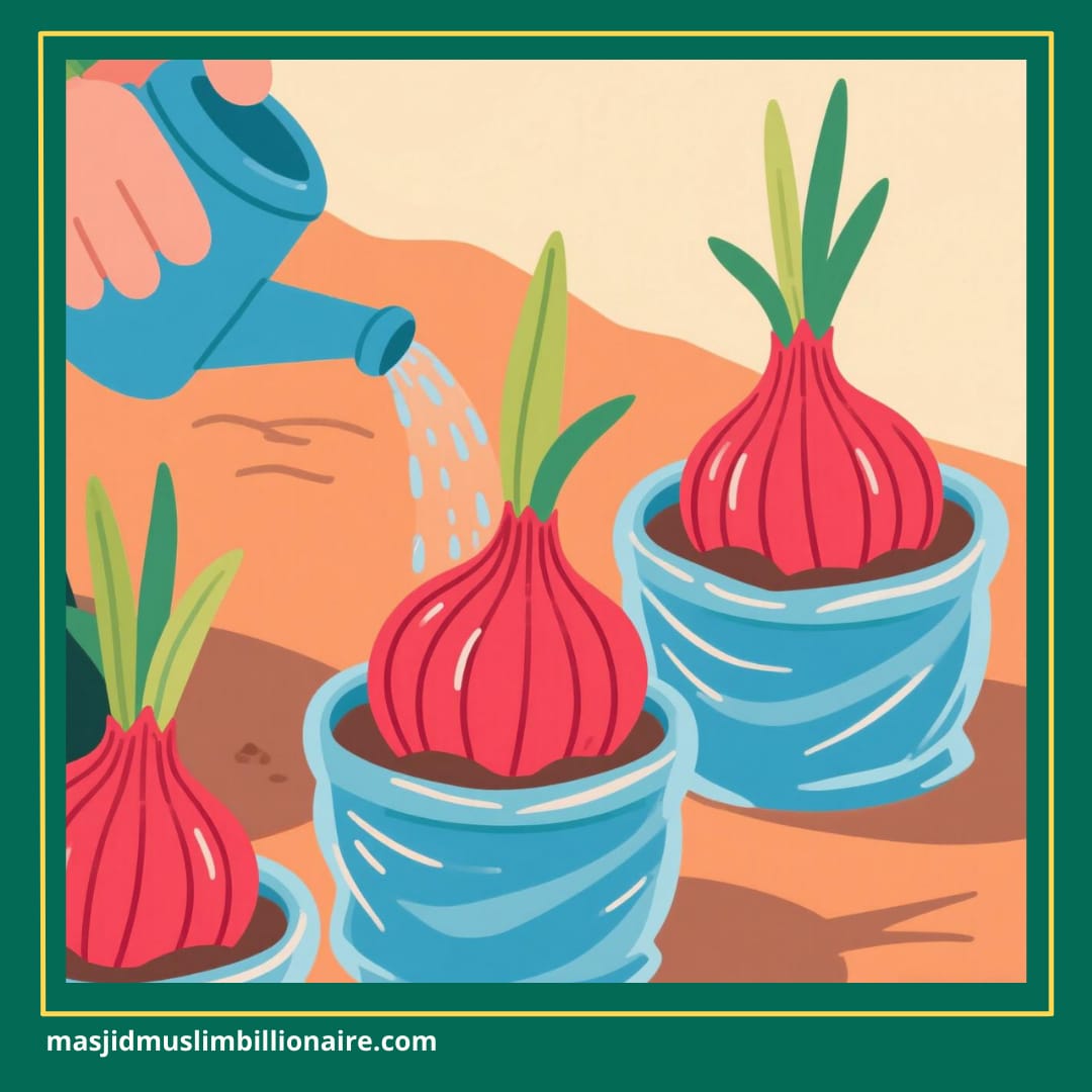 cara menanam bawang merah untuk pemula 