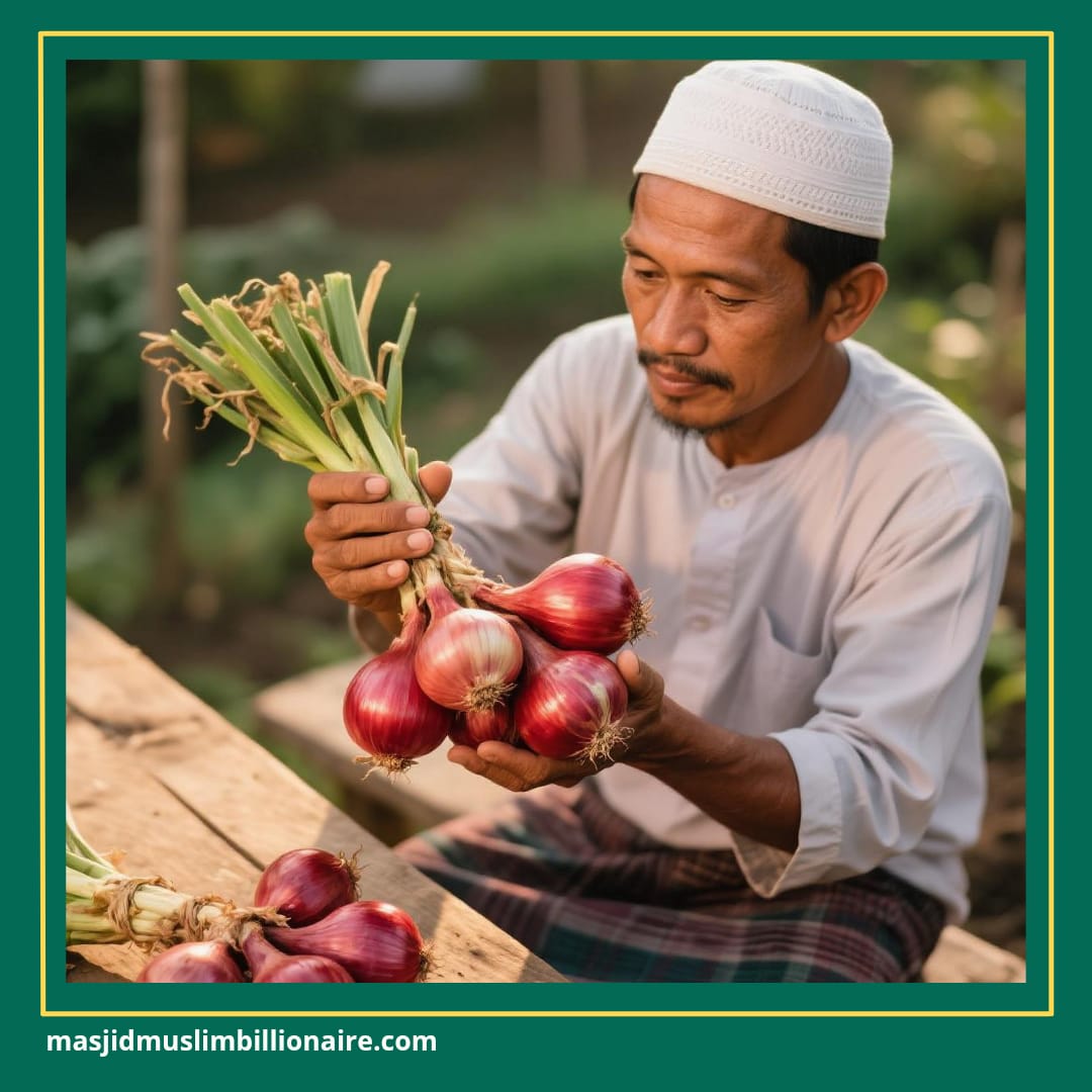 cara menanam daun bawang dari bawang merah