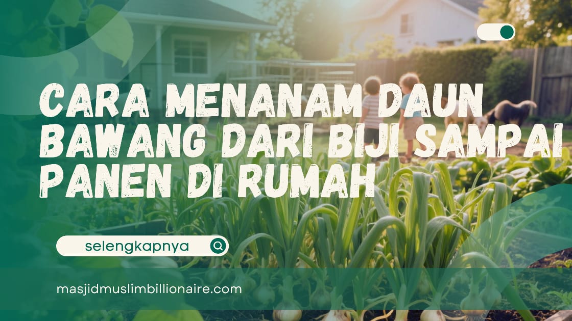 Gak Logis! Cara Menanam Daun Bawang dari Biji sampai Panen